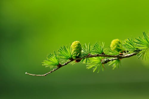 对身体局部进行塑形来减掉肚子上的肉(图2)