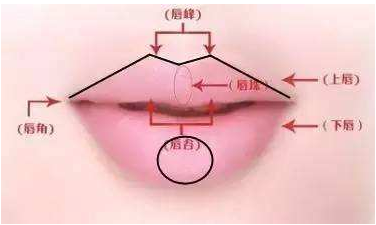 微笑唇和m唇，还傻傻分不清楚？(图4)
