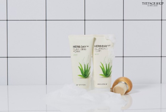 THEFACESHOP每日草本芦荟泡沫洁面膏 THEFACESHOP每日草本芦荟泡沫洁面膏
