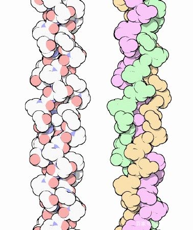 重组Ⅲ型胶原蛋白：美尚洁生物 打造新一代美容抗衰“神器”(图3)