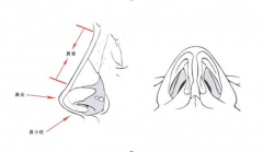 常见的隆鼻方式有哪些?一个鼻子漂亮的秘密